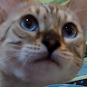 야부*부상