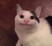 gr*pe