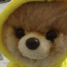 hi****on