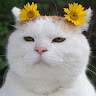 박*훈